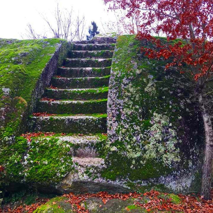 Monte Casoli Il Bosco Del Serraglio E Labitato Rupestre 12 Dicembre