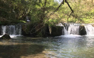 Mercoledì Trekk alle Cascate di Montegelato – 4 dicembre 2019