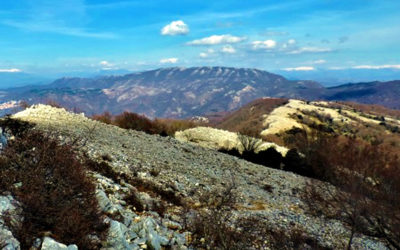 Monte Gennaro, il sentiero dei grandi faggi – 7 dicembre 2019