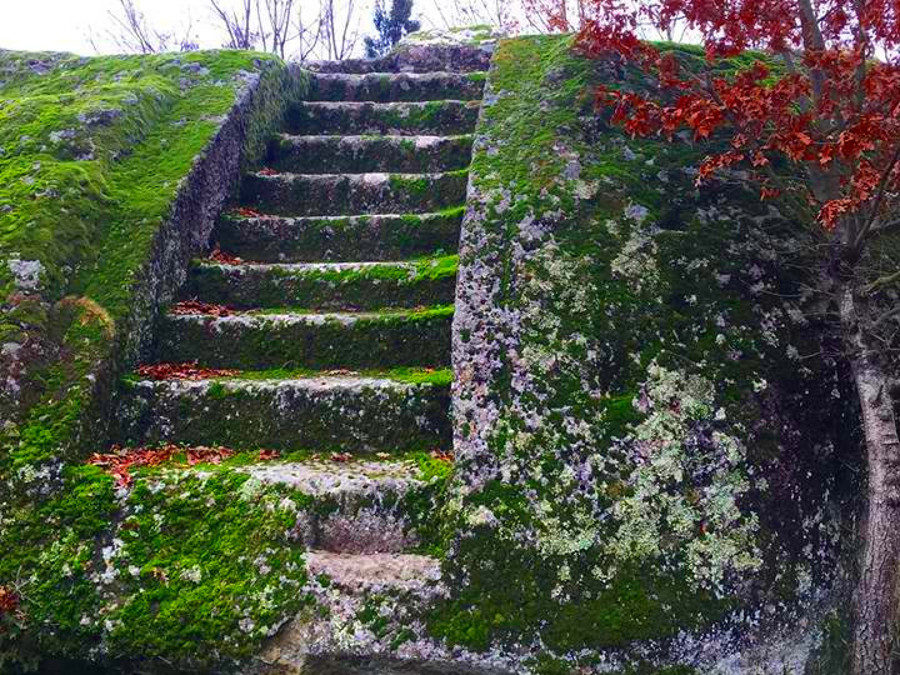 Escursione al Bosco del Serraglio e al Monte Casoli – 11 gennaio 2020