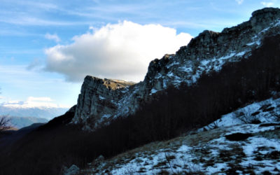 Colle di Mandra Murata: una nuova casa per il camoscio – 15 febbraio 2020