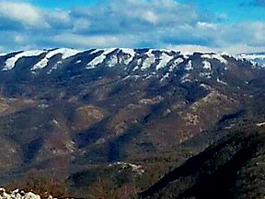 Monte Pellecchia, dove osano le aquile – 5 luglio 2020