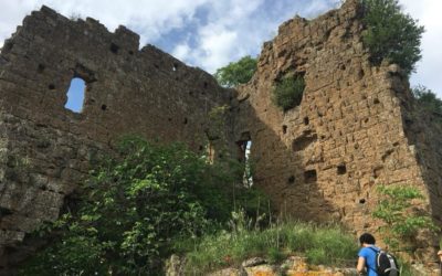 Castel d’Ischia, la tagliata falisca, il Fosso di Ponte Castello – 23 agosto 2020