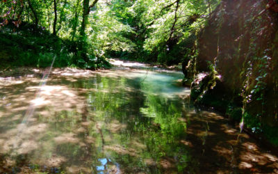 MercoledìTrek sul Torrente Farfa – 26 agosto 2020