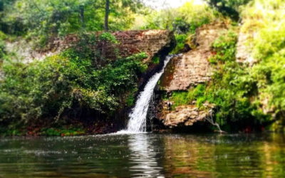 Le Mole di Oriolo e Ceccarelli, la Solfatara, Fontiloro – 19 luglio 2020