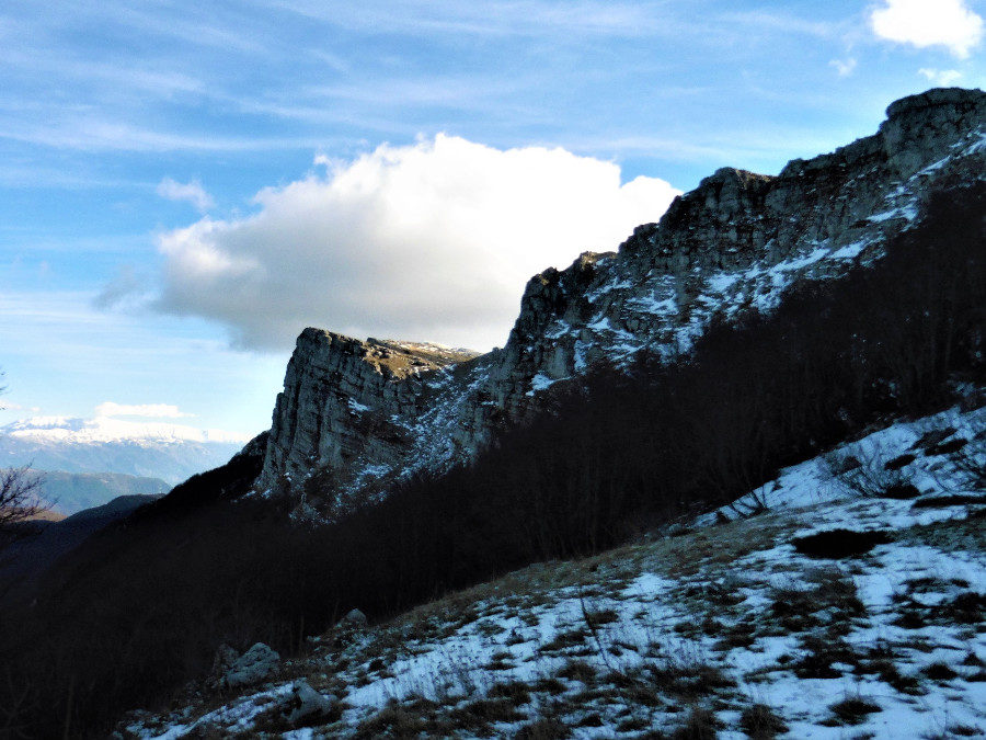 Colle di Mandra Murata: una nuova casa per il camoscio – 2 agosto 2020