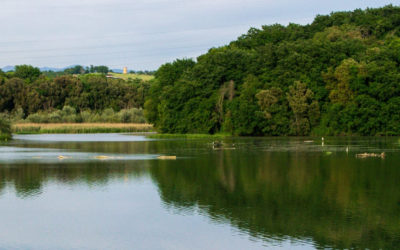 Tevere Farfa in Battello tra natura, sapori e fotografia – 25 luglio 2020