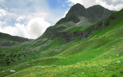 Parco Nazionale d’Abruzzo: tra amori dei Cervi e antiche Foreste – 19/20 settembre 2020