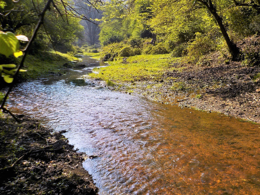 MercolediTrekk alla Valle del Sorbo – 16 settembre 2020