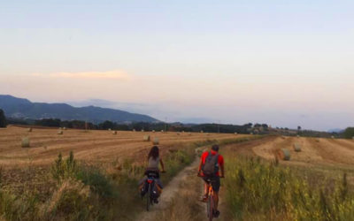 Escursione in Bicicletta, sul Tevere, al Tramonto – 22 agosto 2020