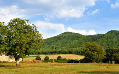 Monte Artemisio, un angolo selvaggio dei Castelli Romani – 15 novembre 2020