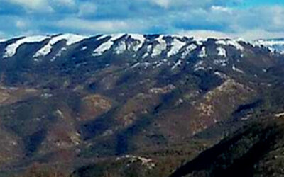 Monte Pellecchia: Dove osano le Aquile – 21 novembre 2020