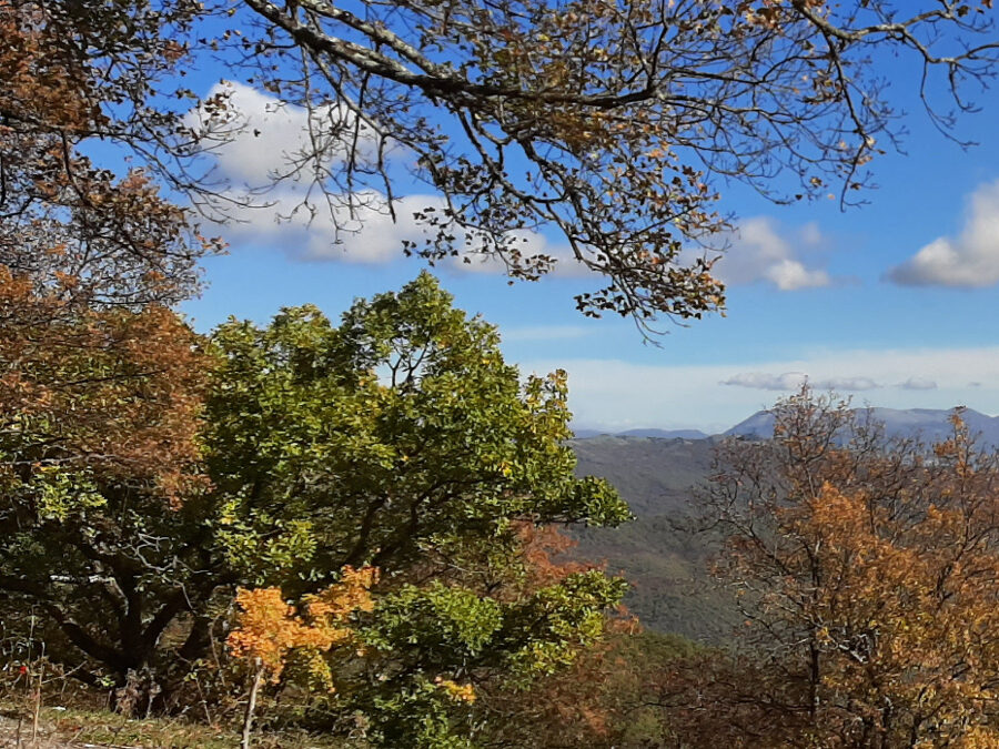 La via dell’acqua e Colle Spogna – 13 dicembre 2020