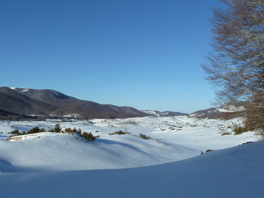 AL COMPLETO CiaspoleTrek Monte Viperella – 14 febbraio 2021