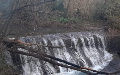 Monumento Naturale delle Forre di Corchiano – 7 gennaio 2021