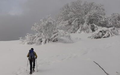 CiaspoleTrek Monte Cardito e Rifugio La Fossa – 6 marzo 2021