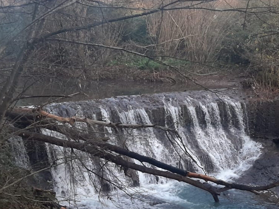 Monumento Naturale delle Forre di Corchiano – 7 gennaio 2021