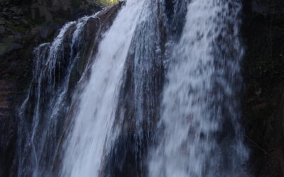 AL COMPLETO San Vittorino: la via dell’acqua al tempo dei romani – 28 febbraio 2021