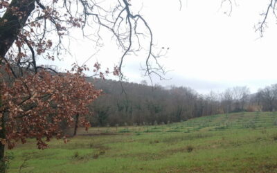 La Rupe tra i due Borghi di Roccantica e Casperia – 14 febbraio 2021