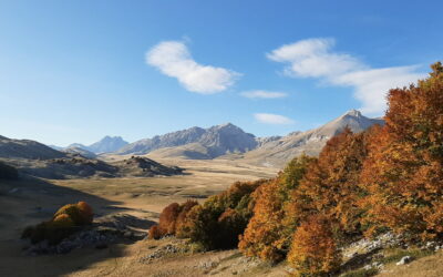 Il Gran Sasso: Monte Archetto – 26 giugno 2021