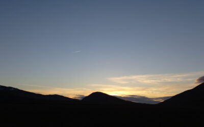 Notturno di Bosco Aspettando il Solstizio – 19 giugno 2021