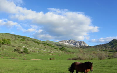 Le Eleganti Verticalità della Serra di Celano – 16 giugno 2021