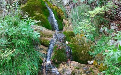 Vallepietra e Serra del Dragone: L’Anello delle Cascate – 15 luglio 2021