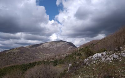 Monte Navegna e pranzo in azienda agricola – 18 luglio 2021