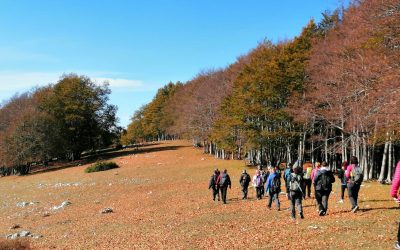 Le prossime uscite tra i colori dell’autunno 🍁