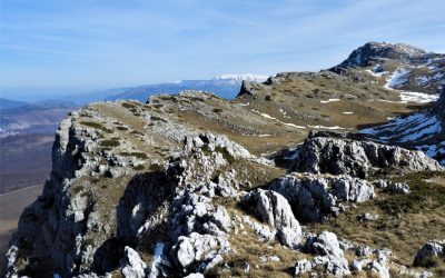 Colle di Mandra Murata: una nuova casa per il camoscio – 30 ottobre 2021