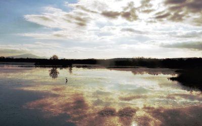 ANNULLATO L’Anello del Lago di Alviano – 20 novembre 2021