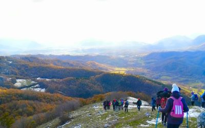 Natale si avvicina… Festeggiamo camminando 🎄️