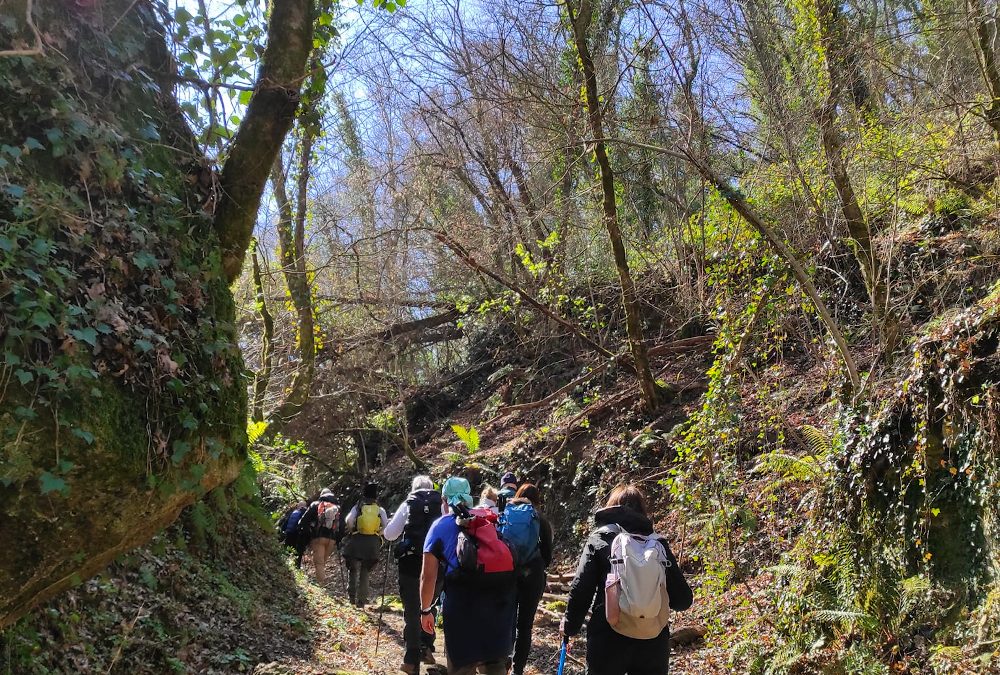 Iniziano le escursioni di Primavera! 🌻