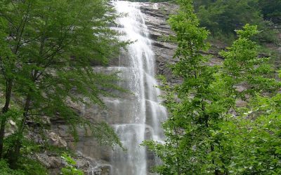 Monti della Laga: La Cascata della Morricana e il Bosco della Martese – 25 giugno 2022