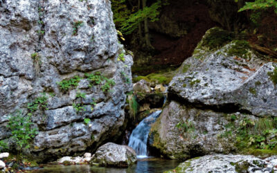 I colori dell’Autunno nel Parco Nazionale d’Abruzzo: La Valle di Canneto – 23 ottobre 2022