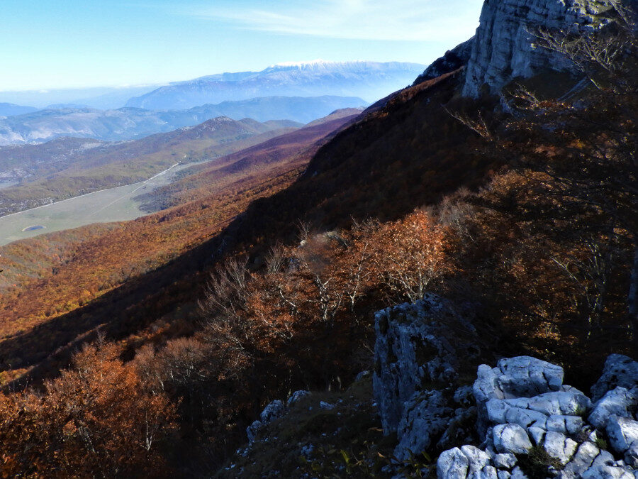 Colle di Mandra Murata: una nuova casa per il Camoscio d’Abruzzo – 6 maggio 2023