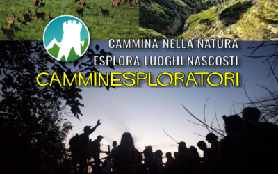 I nostri Trekking tra Luglio e Agosto! 🤗