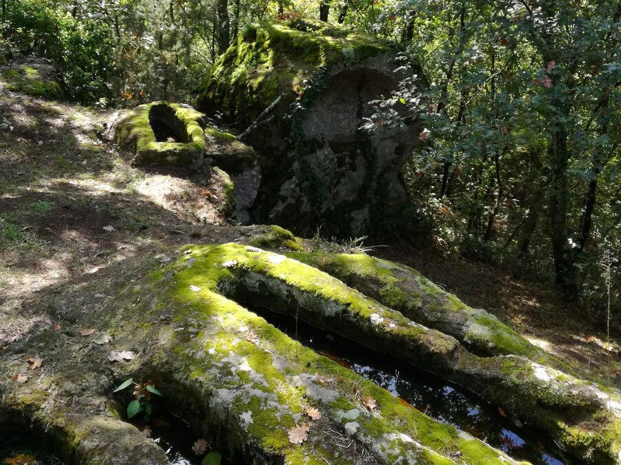 ANNULLATO Vasanello: il Palazzolo, i Morticelli, la Valle Oscura e il Fosso del Mandrione – 15 ottobre 2023