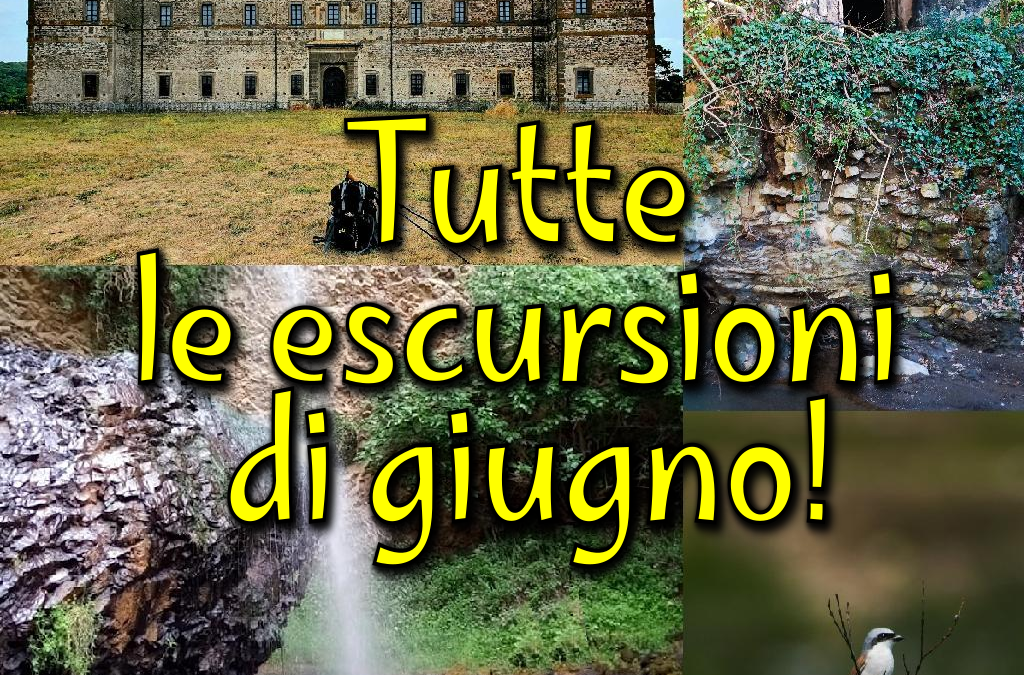 Tutte le escursioni di giugno! 🌻