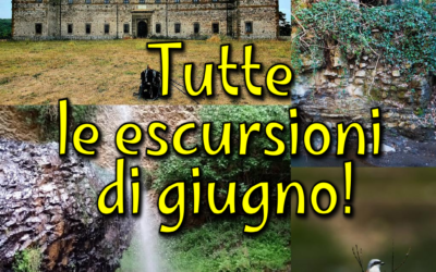 Tutte le escursioni di giugno! 🌻