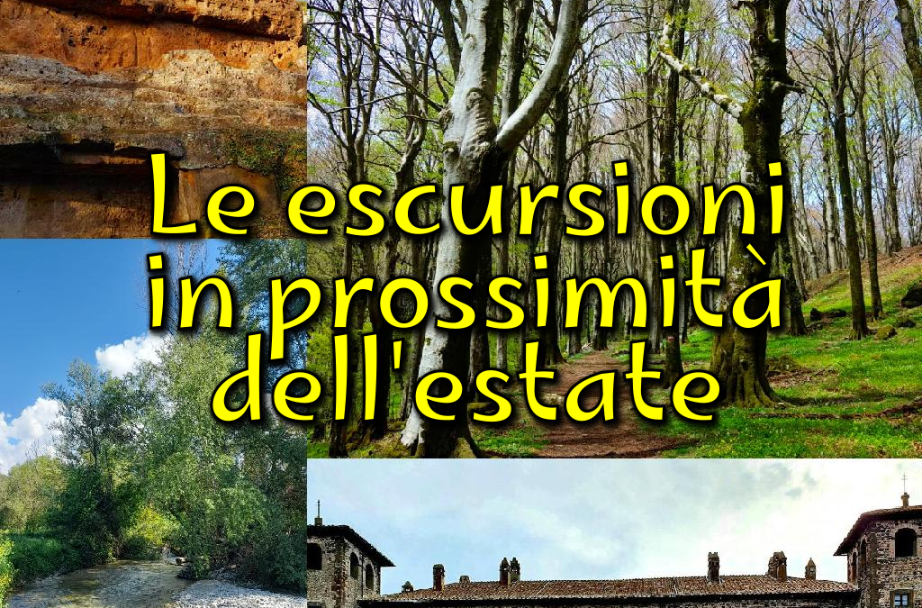 Le escursioni in prossimità dell’estate 🌻