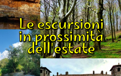 Le escursioni in prossimità dell’estate 🌻