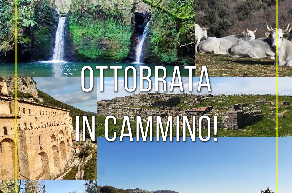 Ottobrata in cammino! 🍁