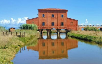 Escursioni e Birdwatching nella Maremma Toscana – dal 10 al 12 Gennaio 2025