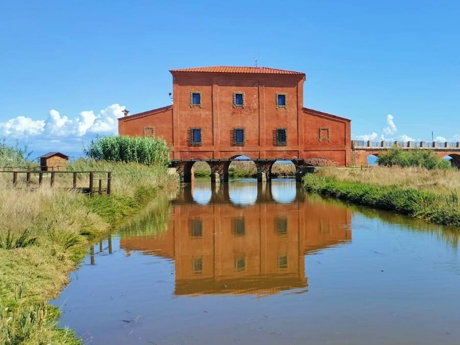 Escursioni e Birdwatching nella Maremma Toscana – dal 10 al 12 Gennaio 2025