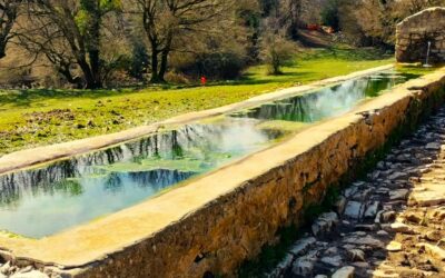 Monte Guardia: nel Cuore Selvaggio dei Lucretili – 9 marzo 2025