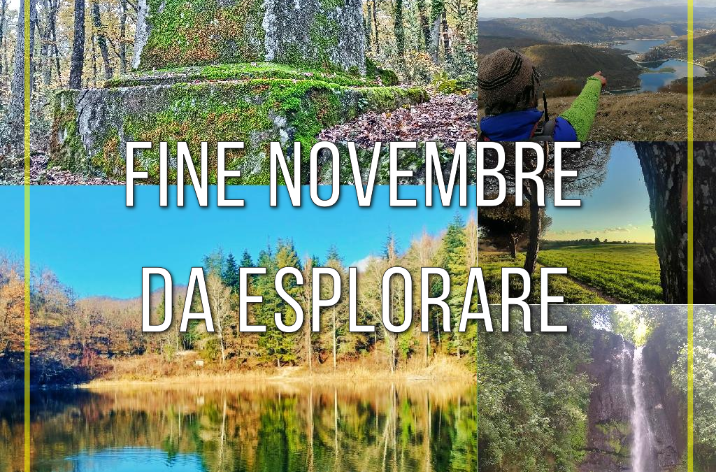 Fine novembre da esplorare 🍁