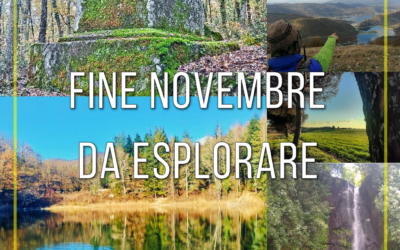 Fine novembre da esplorare 🍁