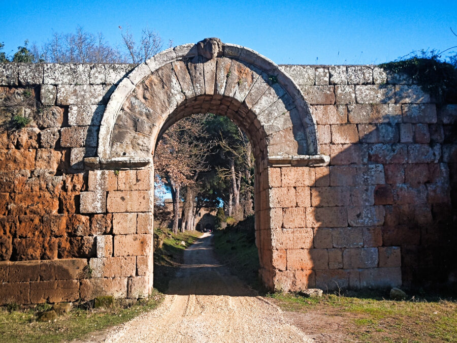 I misteriosi Falisci: tra la via Amerina, Forre e vie Cave – 21 dicembre 2024