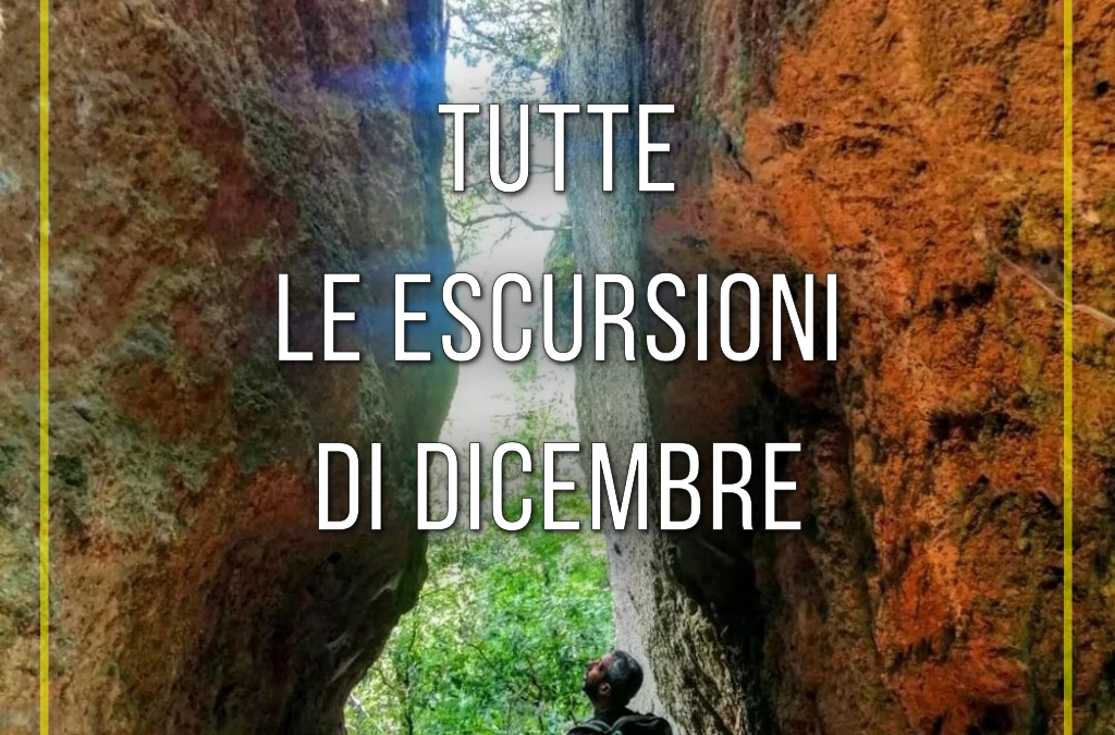 Tutte le escursioni di dicembre! 🎄